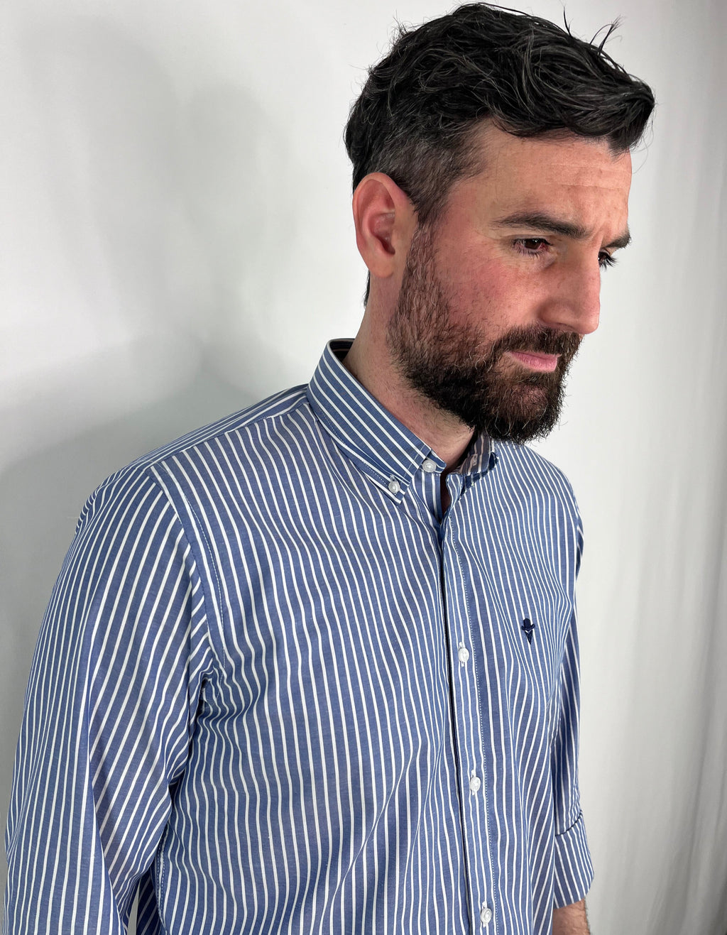 Camisa Sport a Rayas Azul